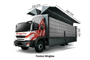Tronton Wingbox