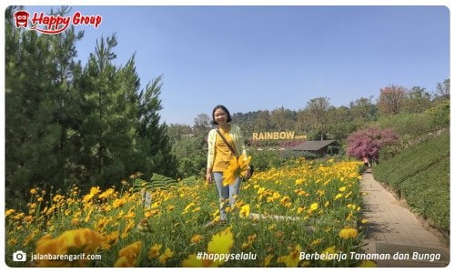 Berbelanja Tanaman dan Bunga