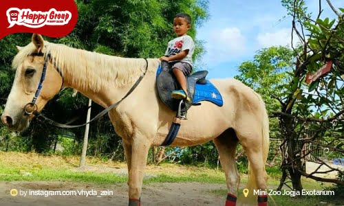 Jogja Exotarium Berkuda