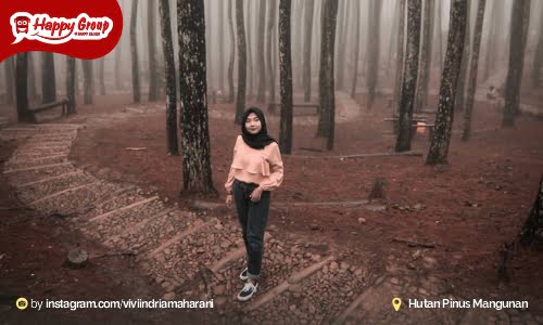 Hutan Pinus Mangunan