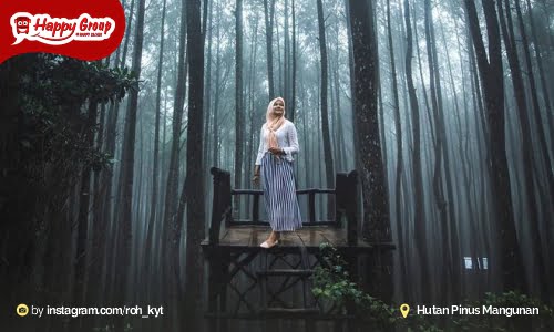 Hutan Pinus Mangunan Lokasi Instagramable