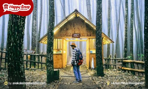 Hutan Pinus Mangunan Berkemah