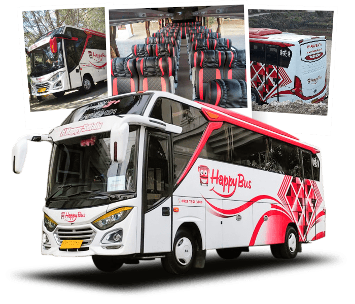 Sewa Bus - Medium Bus Sewa bus pariwisata