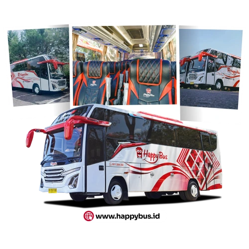 Medium Bus
